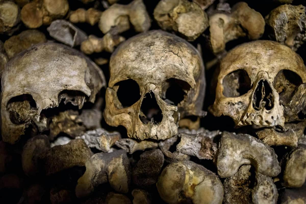 Catacombs of Paris: Guided Tour in English Catacombs of Paris