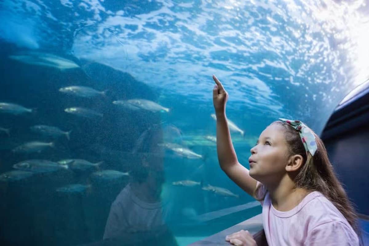 Inbursa Aquarium in Mexico City: Entrance Ticket A young girl pointing at fish while looking through an underwater tunnel in an aquarium.