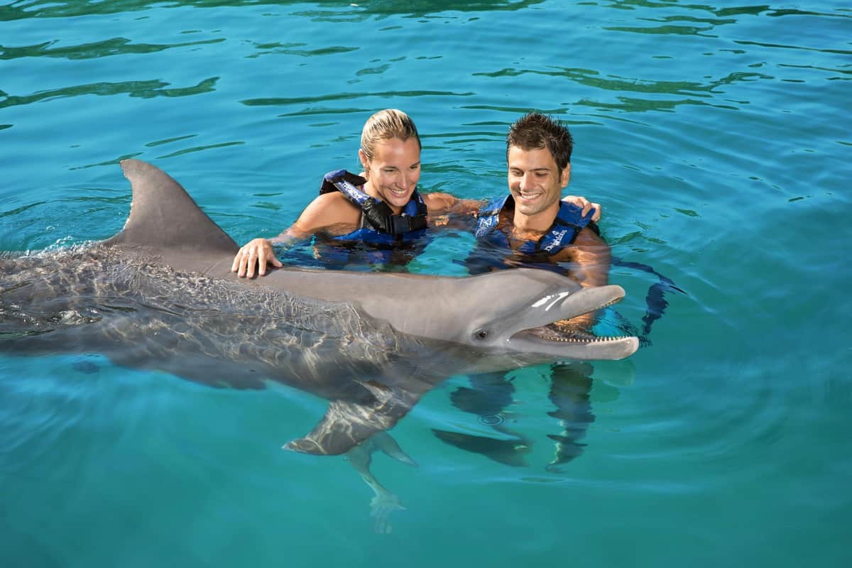 Delphinus Xel-Há: Fast Track Ticket + Hotel Pickup + Swim with Dolphins Two people in life vests interact with a dolphin in clear blue water, smiling and holding it close.