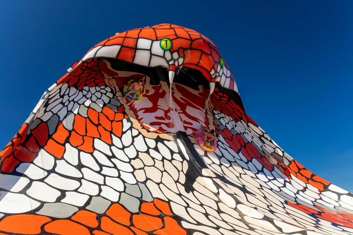 King Cobra