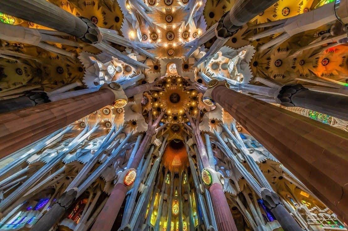 Sagrada Familia & Park Güell: Entry + Guided Tour Holy Family