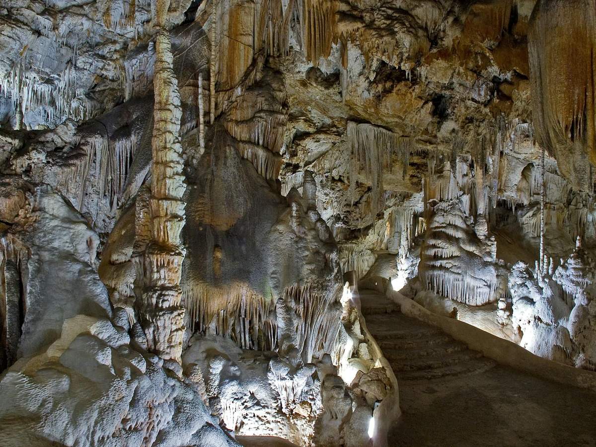 Campanet Caves: Skip The Line Ticket A cave interior featuring numerous stalactites and stalagmites with a lit pathway and stone steps leading deeper into the cave.