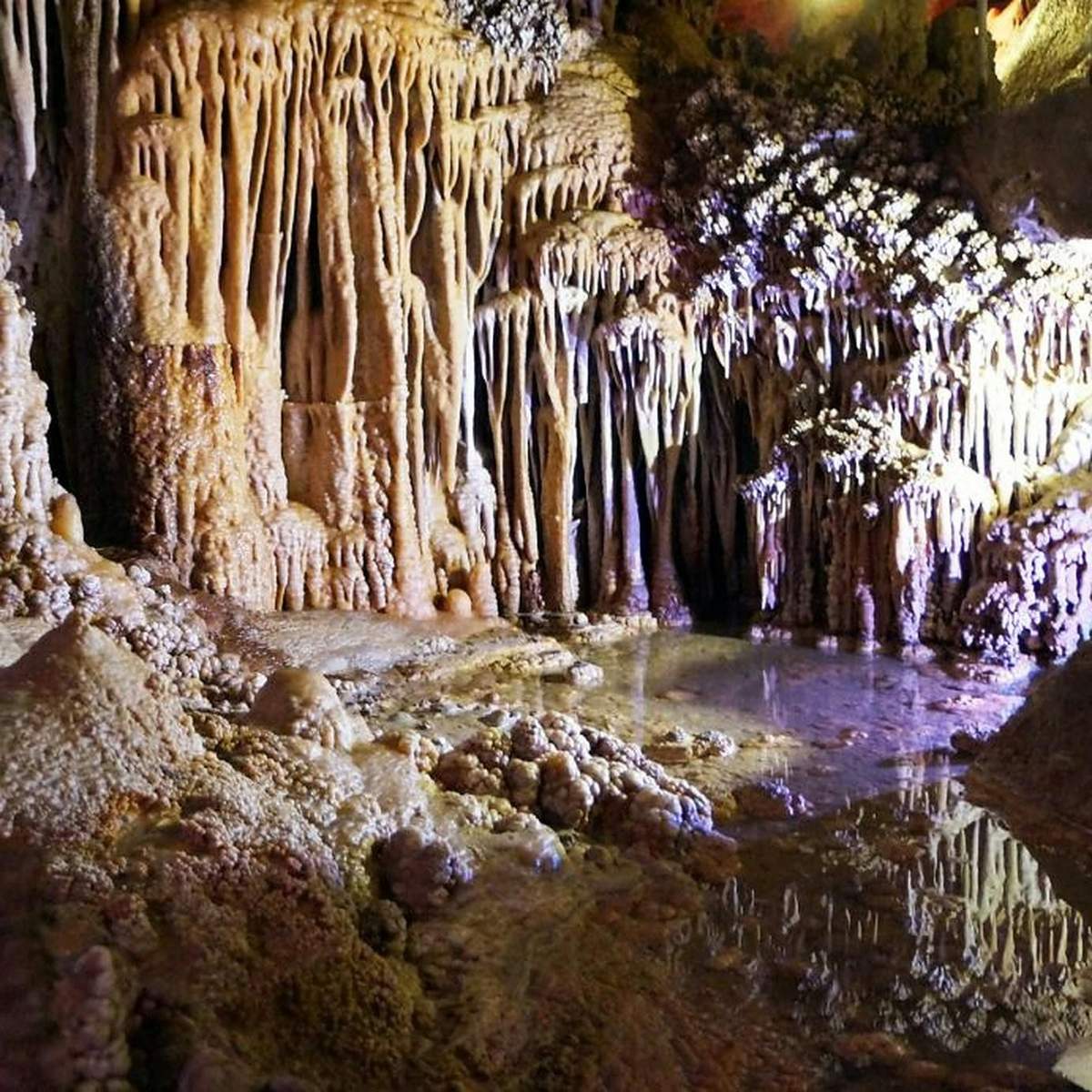 Genova Caves: Skip The Line Ticket A cave with stalactites, stalagmites, and mineral formations reflecting in a shallow pool of water.