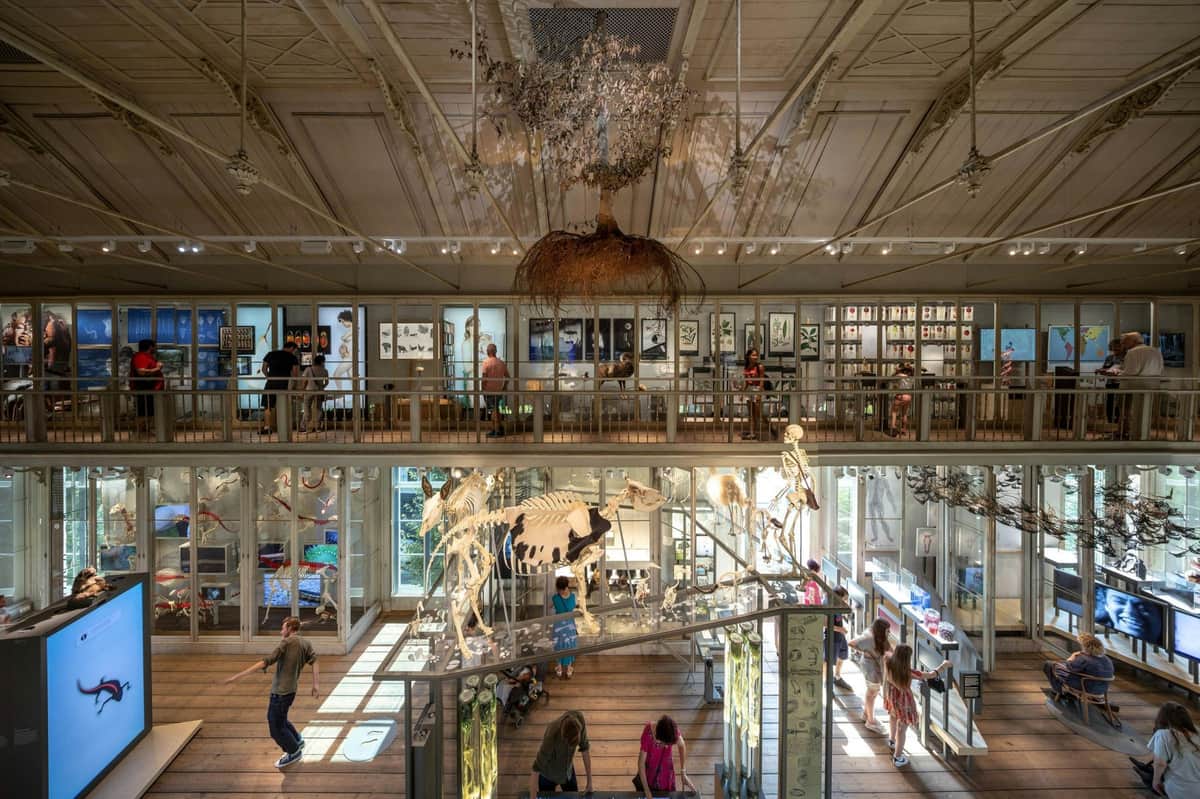 ARTIS Amsterdam Royal Zoo & Groote Museum: Skip-the-Line Entry Ticket ARTIS Grand Museum