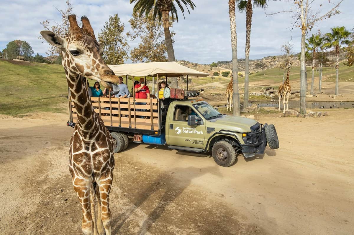 San Diego Zoo Safari Park: Entry Ticket San Diego Zoo Safari Park