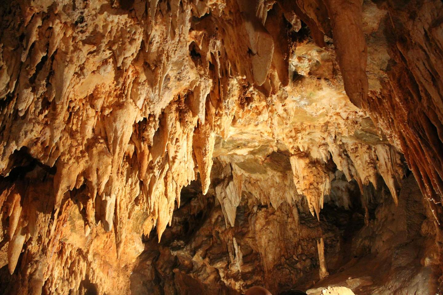 Toirano Caves A cave interior with numerous stalactites hanging from its ceiling, illuminated by warm, orange lighting.
