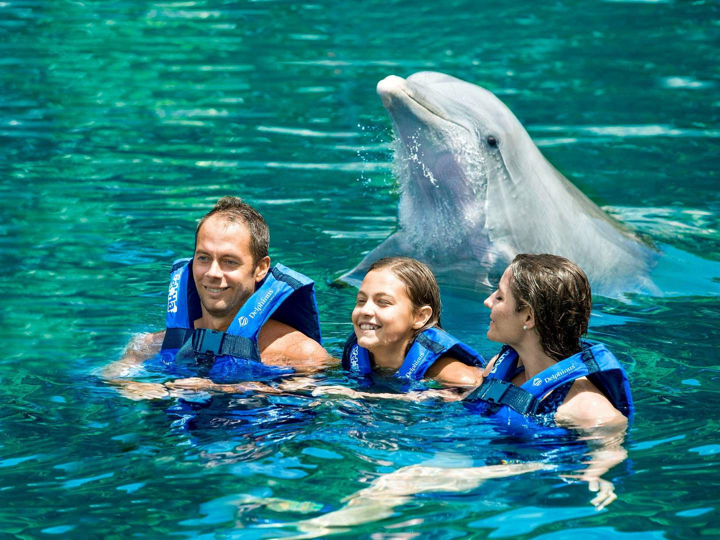 Three people in blue life jackets swim in clear water, smiling with a dolphin behind them.