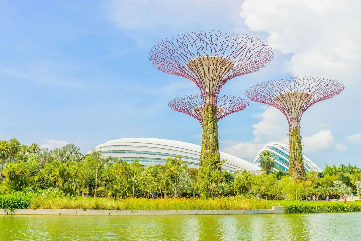 Uma vista panorâmica de estruturas futuristas semelhantes a árvores num parque com vegetação, água em primeiro plano e um edifício moderno por trás.