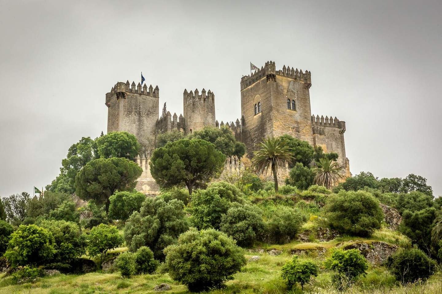 A large stone castle with crenellated towers sits atop a grassy, tree-covered hill under an overcast sky.