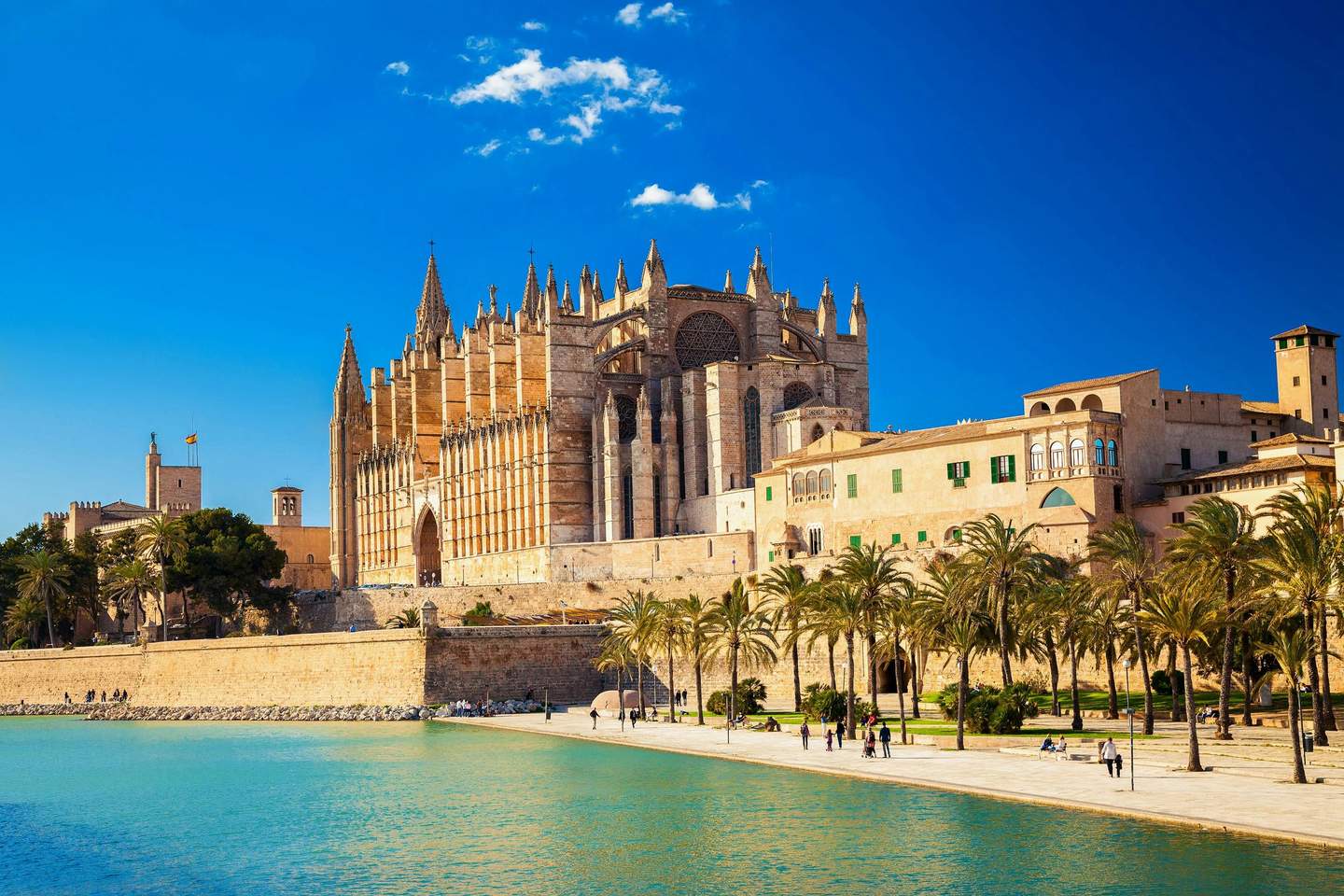 Gothic cathedral with tall spires overlooking a waterfront promenade lined with palm trees under a bright blue sky.