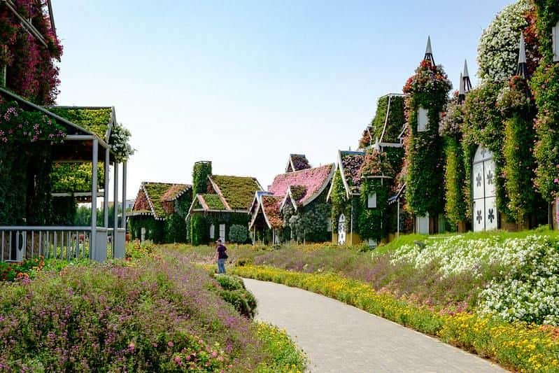 花に囲まれた道は、緑に覆われた家や澄んだ空の下の花に通じています。遠くに人が立っています。