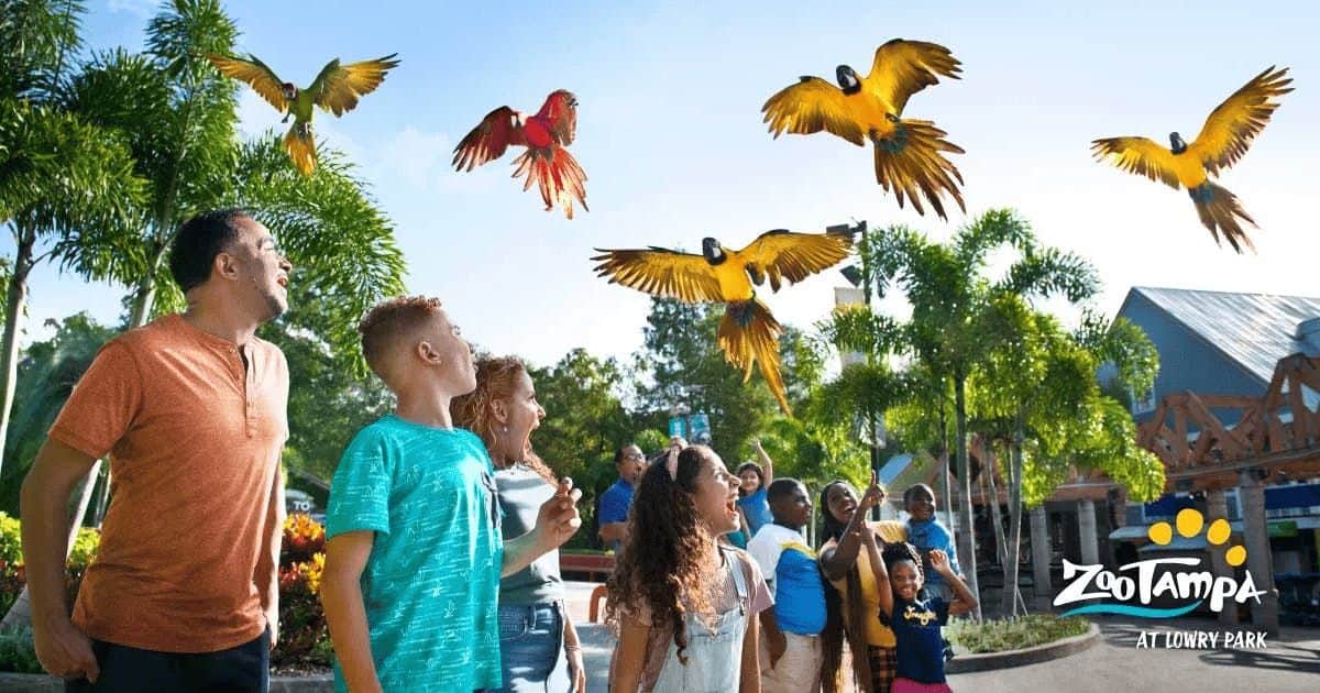 ZooTampa at Lowry Park A group of people looking up at colorful parrots flying, surrounded by trees and structures with a logo reading "ZooTampa."