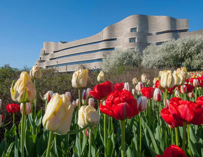 Canadian Museum of History: Skip The Line Ticket