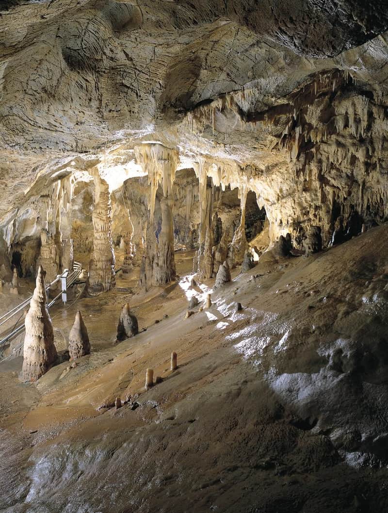 Toirano Caves: Fast Track Ticket Toirano Caves: Fast Track Ticket