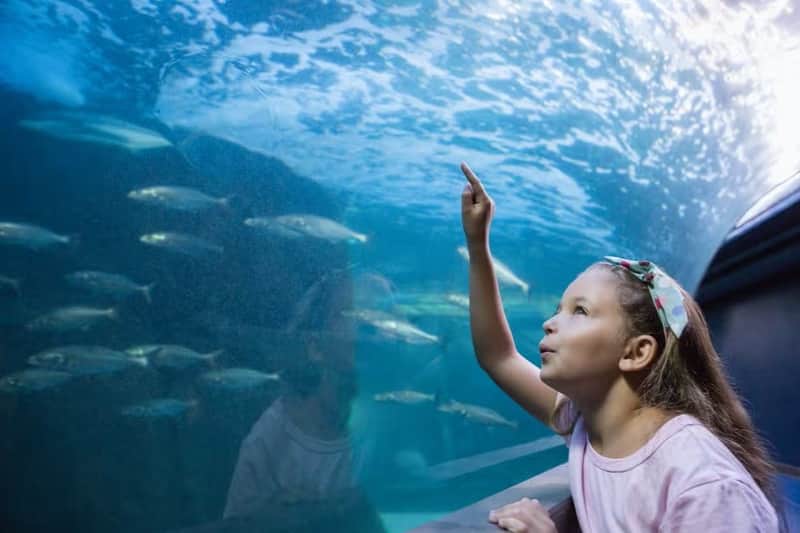 Inbursa Aquarium in Mexico City: Entrance Ticket