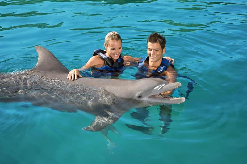 Delphinus Xel-Há: Fast Track Ticket + Hotel Pickup + Swim with Dolphins