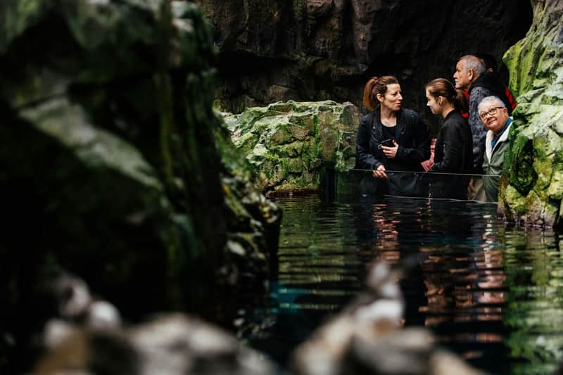 Oceanário de Lisboa: Guided Tour