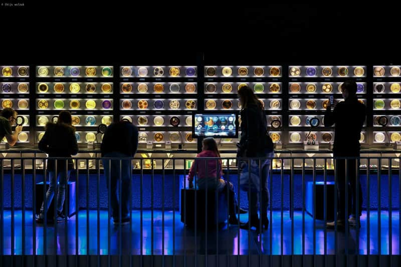 ARTIS Amsterdam Royal Zoo & Micropia: Skip The Line Entry Ticket ARTIS Amsterdam Royal Zoo & Micropia: Skip The Line Entry Ticket