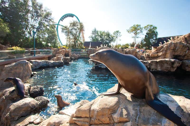 SeaWorld Orlando: Fast Track Ticket