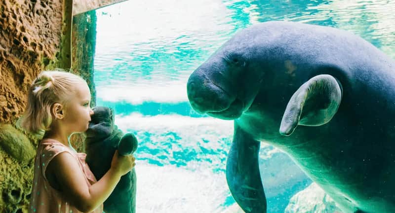 ZooTampa at Lowry Park: Fast Track Ticket