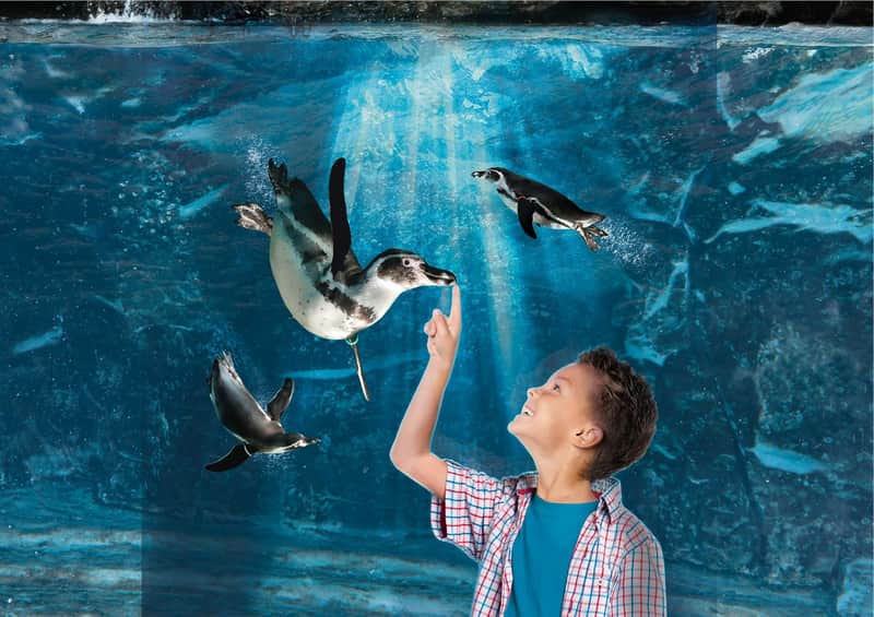 Aquarium of Cattolica