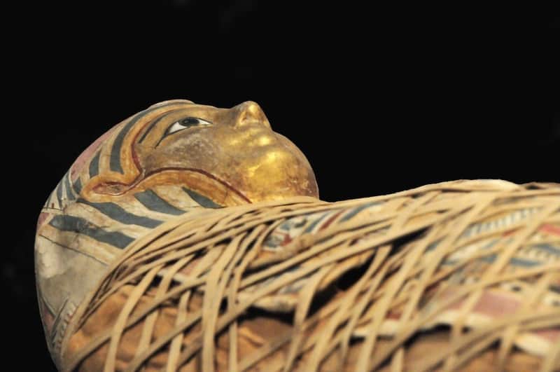 Egyptian Museum Egyptian Museum