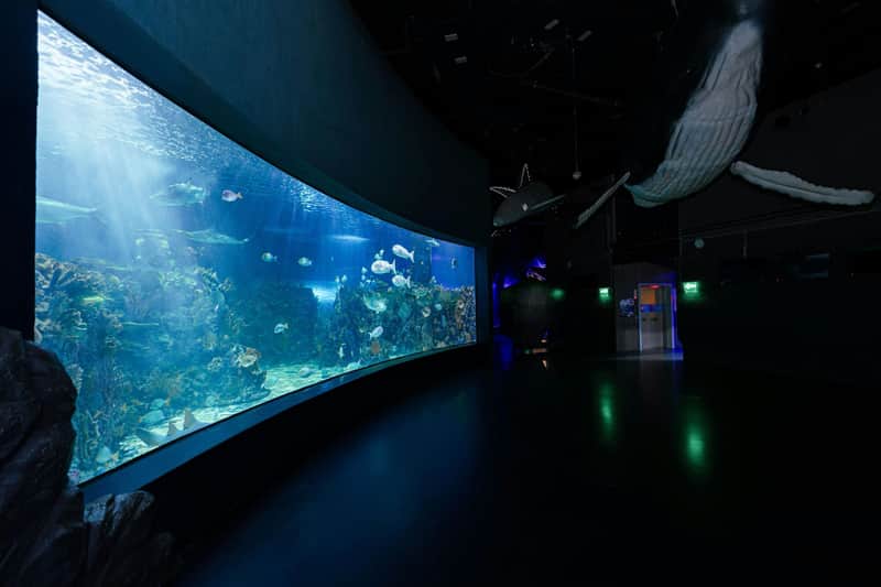 Inbursa Aquarium