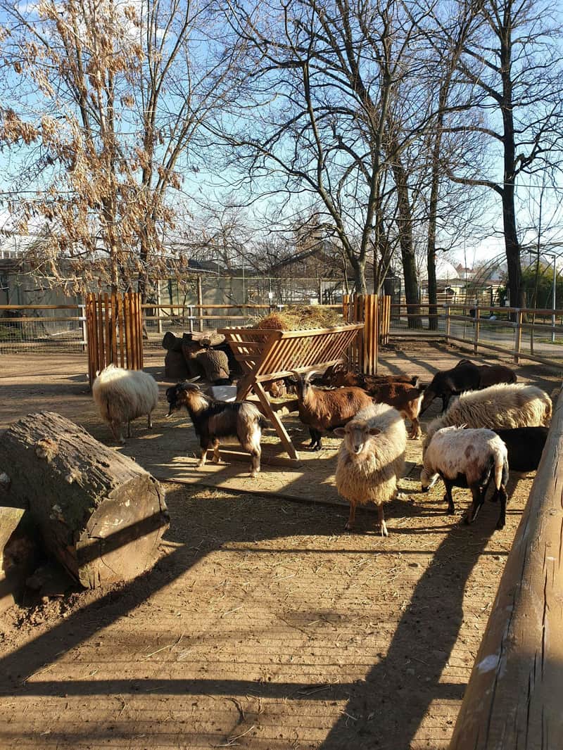 Oradea Zoo Oradea Zoo