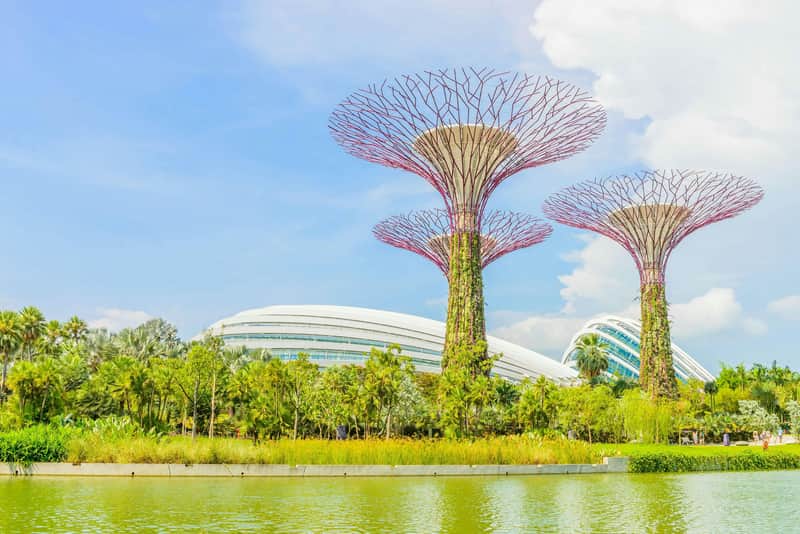Gardens by the Bay