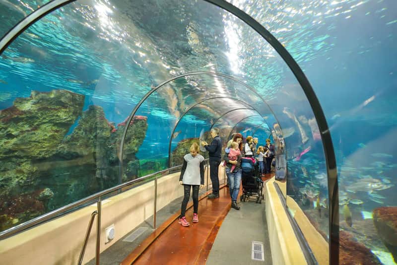 Barcelona Aquarium Barcelona Aquarium