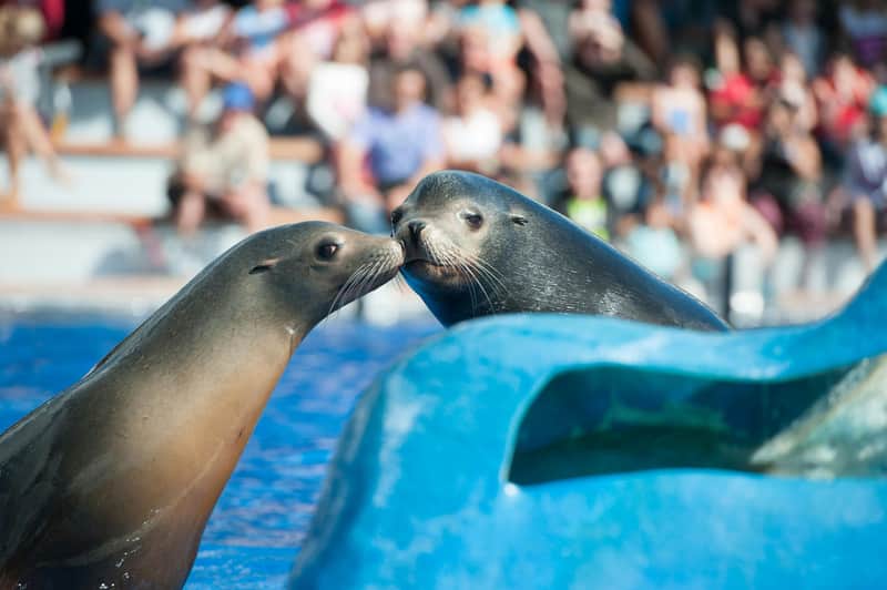 Marineland Mallorca