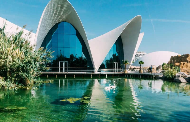 Oceanogràfic de Valencia Oceanogràfic de Valencia