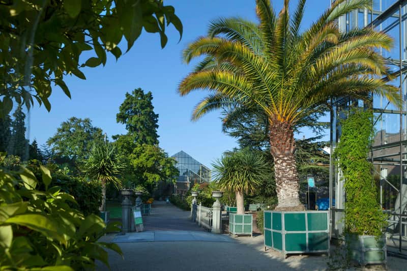Hortus Botanicus Leiden Hortus Botanicus Leiden