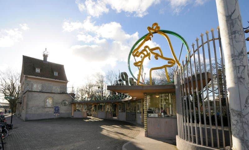 Blijdorp Rotterdam Zoo