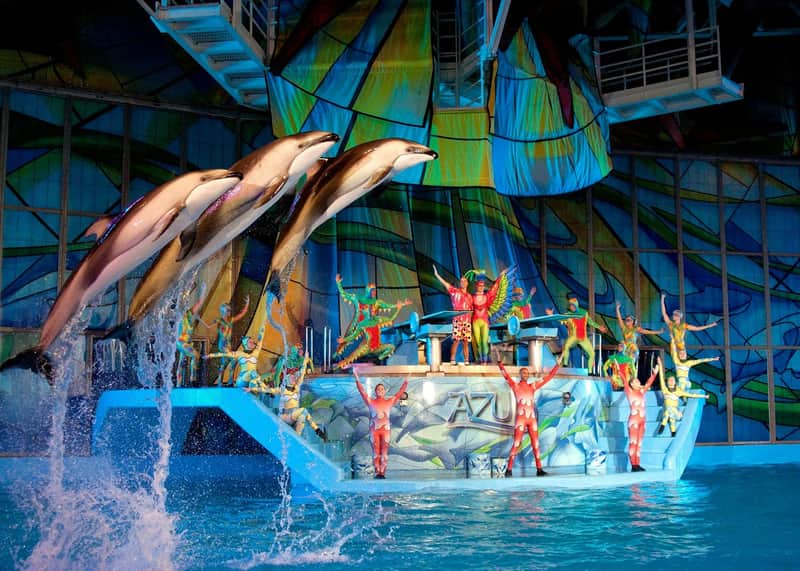SeaWorld San Antonio SeaWorld San Antonio