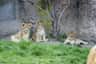 Leipzig Zoo