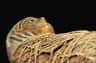 Egyptian Museum