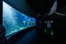 Inbursa Aquarium