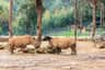 Zoo Santo Inácio
