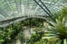 Cloud Forest Cloud Forest