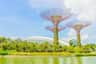 Gardens by the Bay Gardens by the Bay