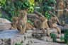 Barcelona Zoo