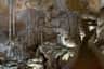 Campanet Caves